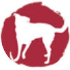 DogDaniel Hundetraining